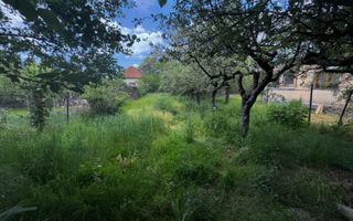 CASA CAMPULUNG, 128 MP, TEREN 639 MP - Poză 18