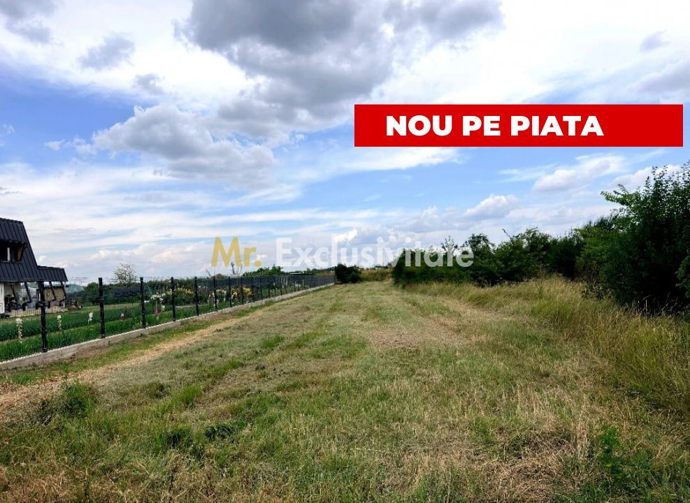 Teren de vanzare in Comuna Bradu – 1.374 mp | Deschidere 13,97 ml | 0% - Poză 4