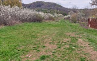 Teren Topoloveni - 3670 mp - langa padure, aproape de Centrul orasului  - Poză 2