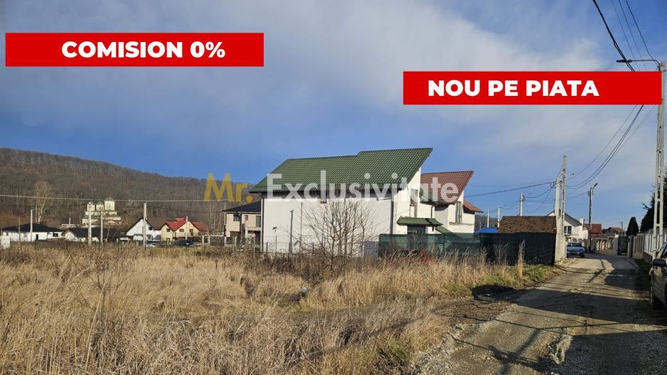Teren 1.250 mp, toate utilitatile – Bascov, Valea Ursului, AG - Poză 1