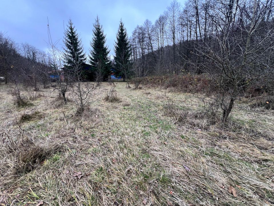 Teren intravilan 6.500 m²–Deschidere 144 ml drum european E81, km 35, Morăresti - Poză 1