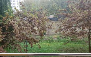 Apartament 2 camere in Greenfield, Padurea Baneasa, 1/3, dec, mob - Poză 4