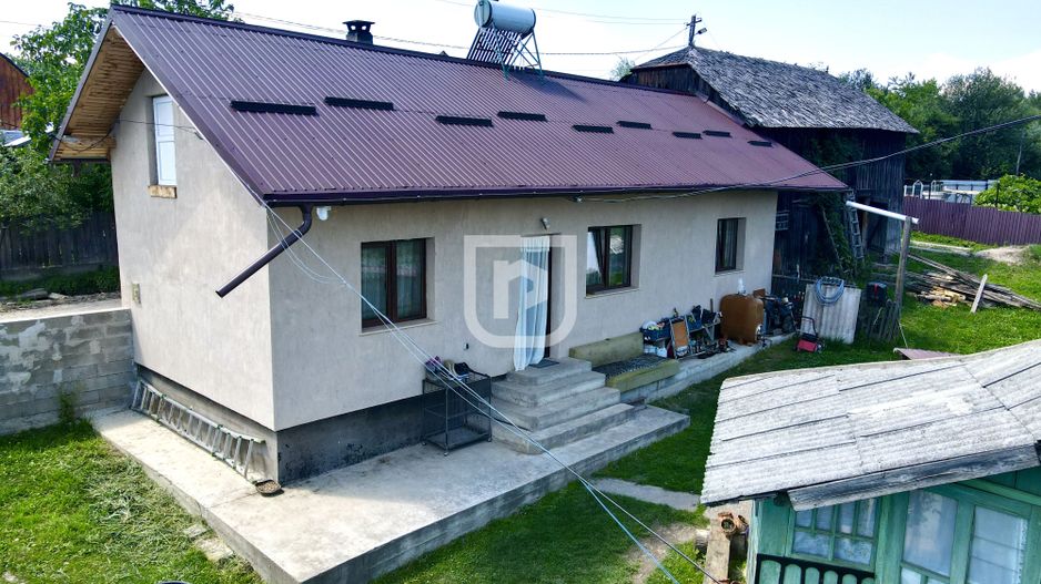 Ferma agricola, plantatii de mure, trandafiri, vita-de-vie - Poză 7