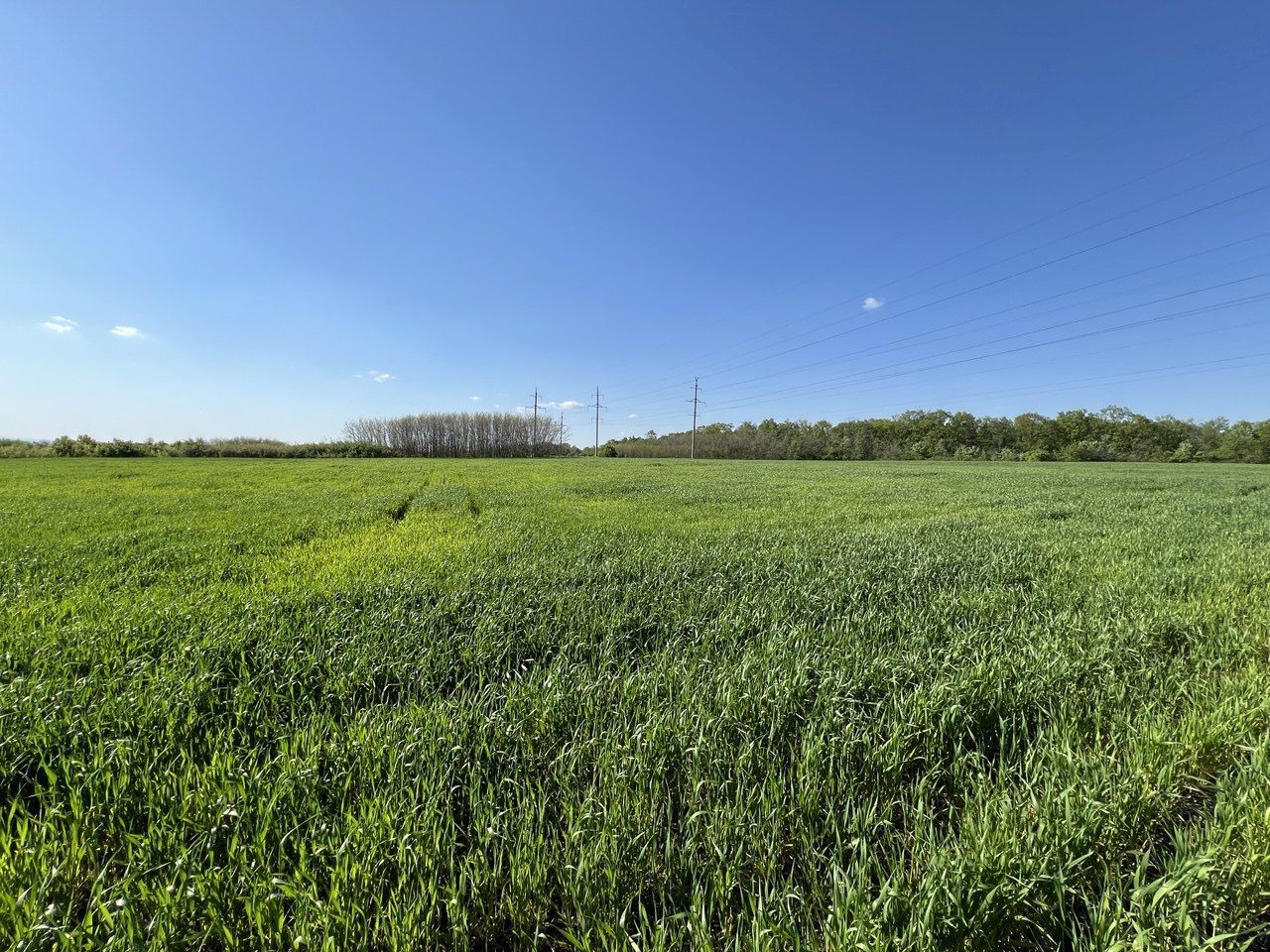 Teren agricol de 24 ari în Ghidighici – aproape de pădure, potrivit pentru investiție sau activitate agricolă - Poză 2