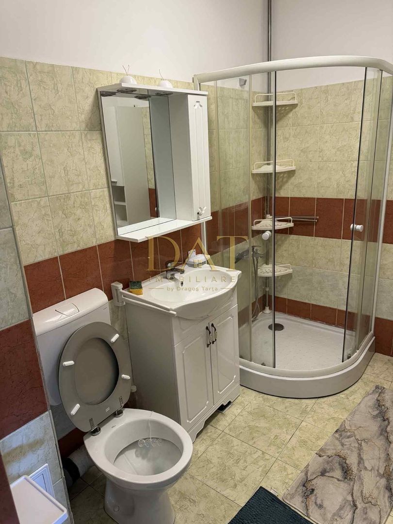 Apartament 1 camera, preluare chiriasi, etaj intermediar, zona Porii - Poză 6