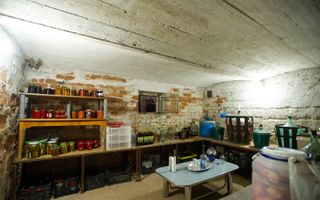 Casa Individuala | 407MPU | 1000MP Teren | Calea Dumbravii - Poză 22