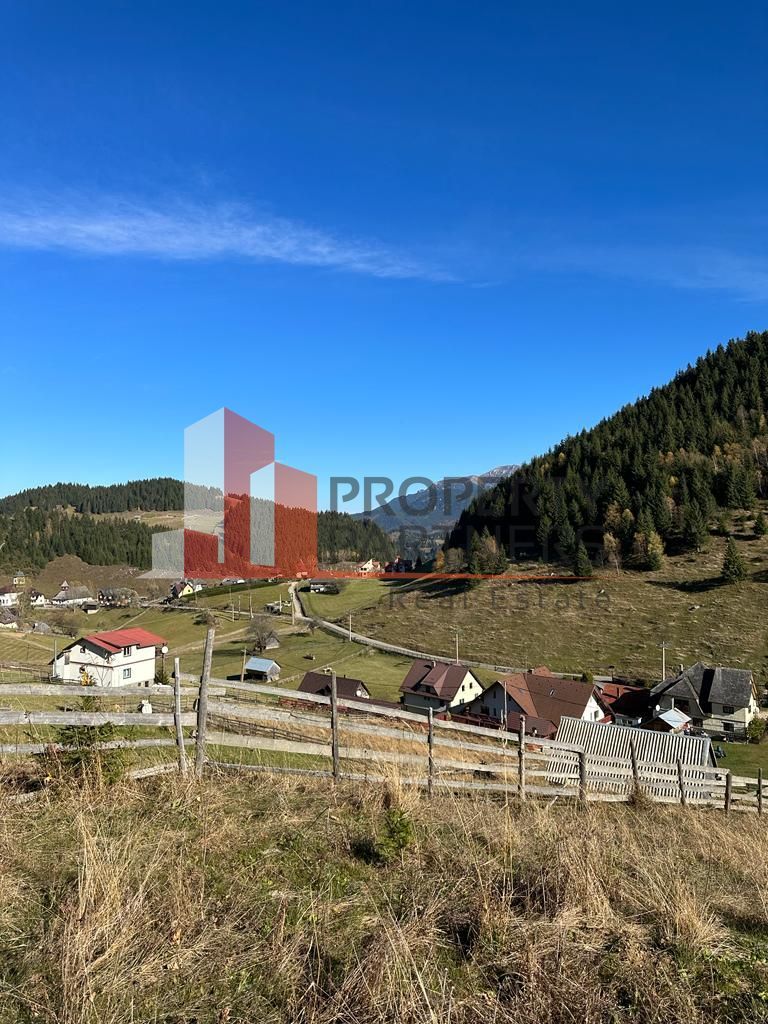 Teren Fundatica intravilan 4500 mp - Poză 17