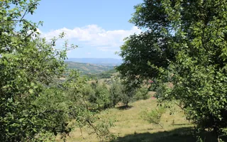 Poiana Sohodol I 5600 MP I Trei corpuri cladiri I Utilitati - Poză 59