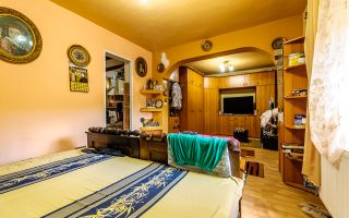 PROPRIETATE VÂNDUTĂ Casă conac cu 15.000 mp deal împădurit la Barațca, - Poză 8
