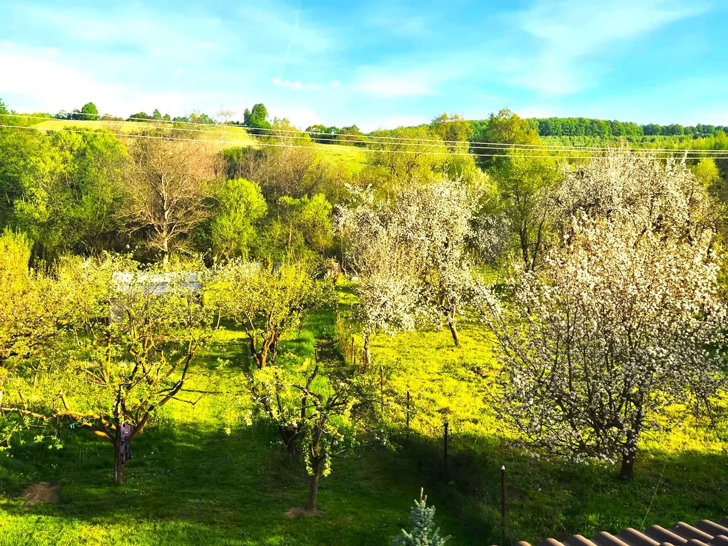 CASĂ NOUĂ ÎN STOLNA, LA 20 KM DE CLUJ-NAPOCA | 160 MP UTILI | 1.513 MP TEREN - Poză 7