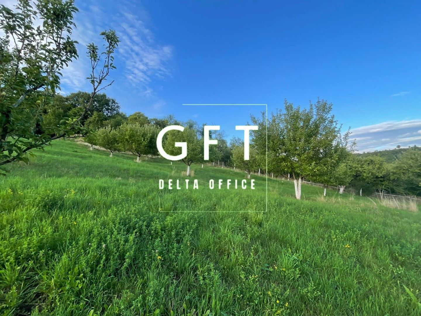 PARCELE TEREN INTRAVILAN 5-29.2 ARI - DOROLEA - Poză 4