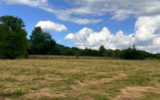 DOUĂ CORPURI DE CASĂ TEREN INTRAVILAN 6997 MP BUGHEA DE SUS ARGEȘ - Poză 9