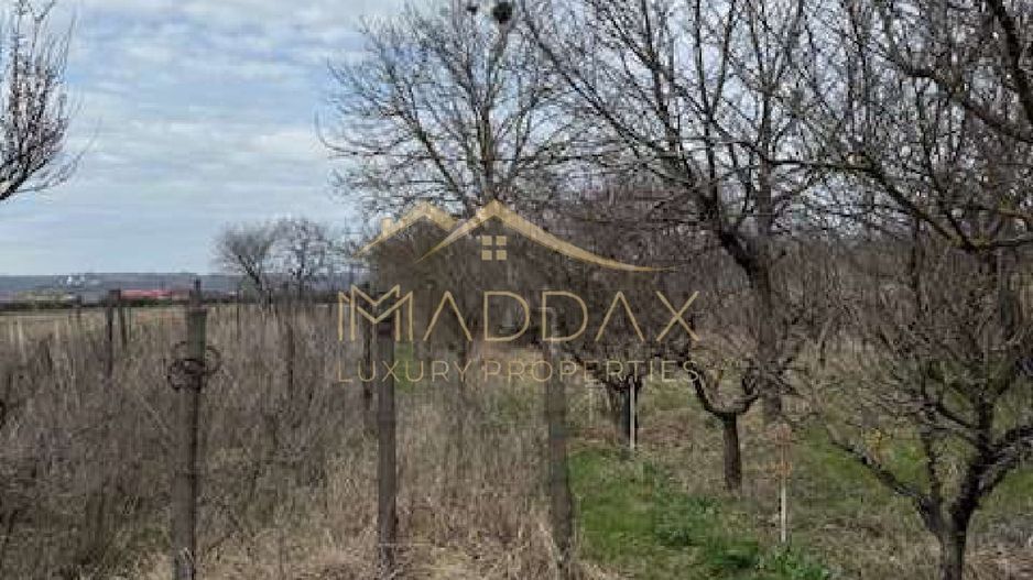 Teren intravilan 4.803 mp cu casă și anexe – Drăgășani, zona viticolă - Poză 3