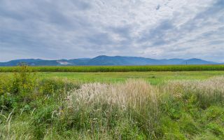Oportunitate de investitie la DN1, 5.000 mp, zona aeroportului Brasov - Poză 5