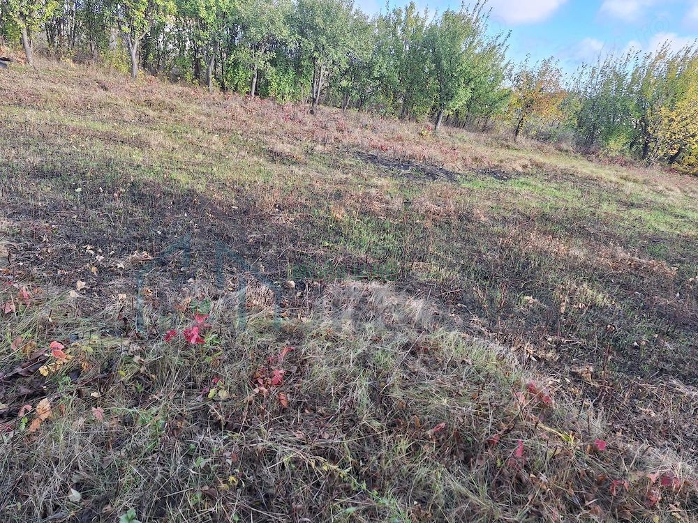 Terenuri intravilane în Horlești-Rediu, Iași, zone rezidențiale - Poză 2