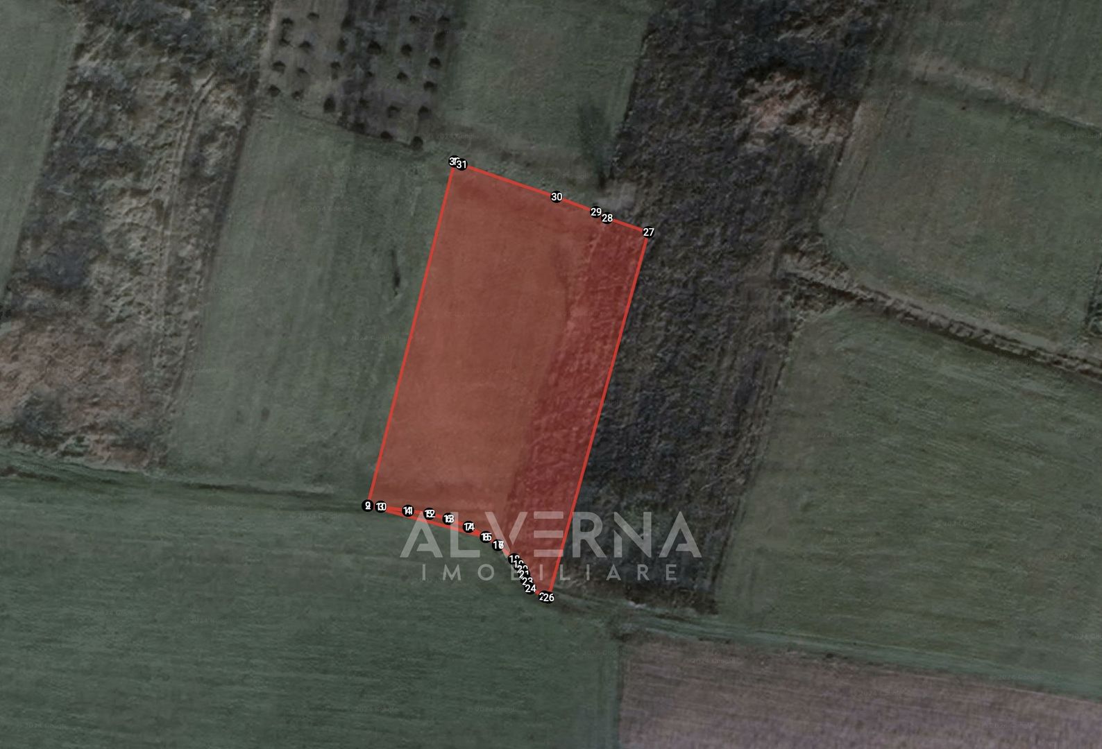 COMISION 0% - Teren extravilan 2.900mp - cadastrat - Gadalin / Jucu - Poză 4