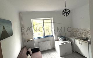 Investitie la cheie 13 mp, Gruia - Poză 2