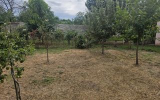 Casa-cu-Teren-Generos-(625 mp)-Panouri-Solare – Bariera-Valcii - Poză 3
