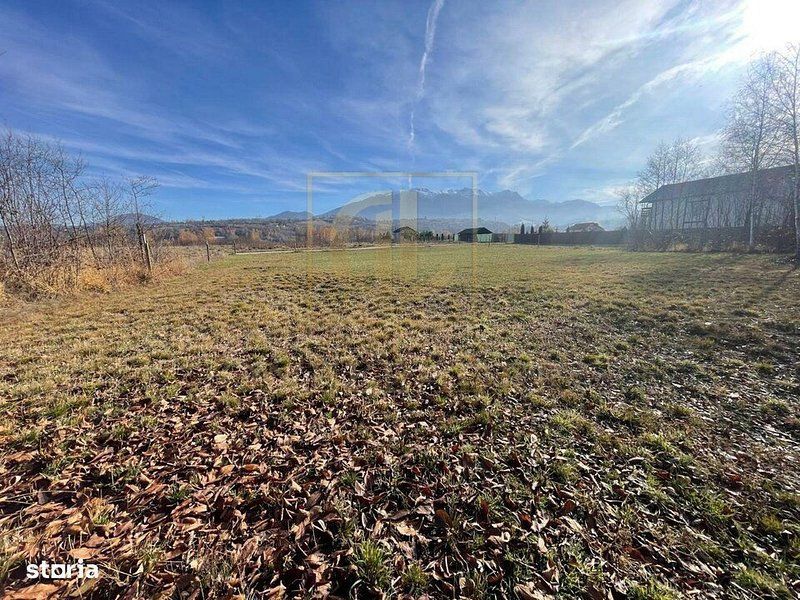 Teren 3349 mp de Vânzare | Bran – Panoramă Munții Bucegi - Poză 11