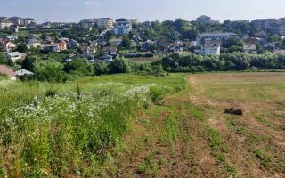 🏡 Teren intravilan Valea Adanca – Zona 5 Drumuri 🌿 - Poză 9