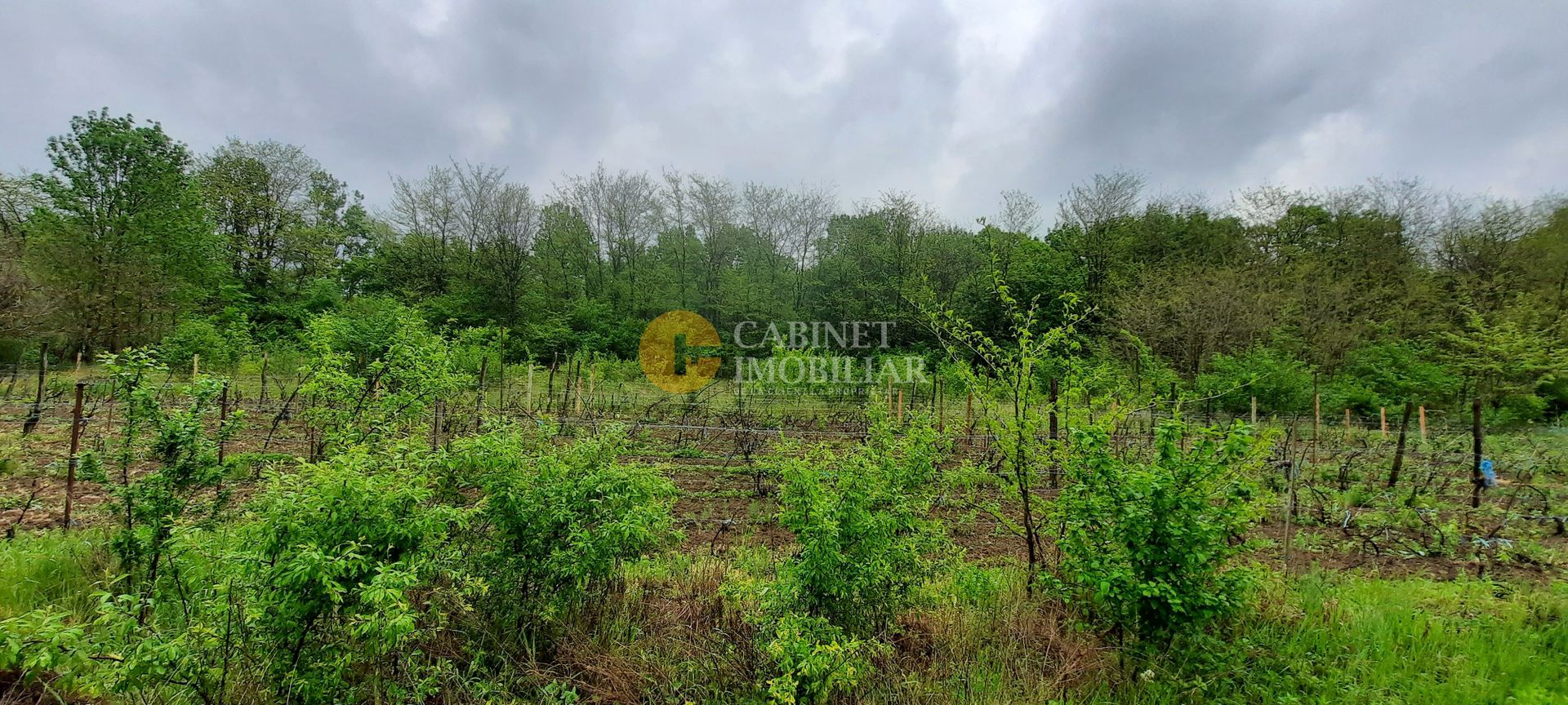 🏡 Casă cu livadă sat Prisăcani  - Teren 4500 mp - Poză 10