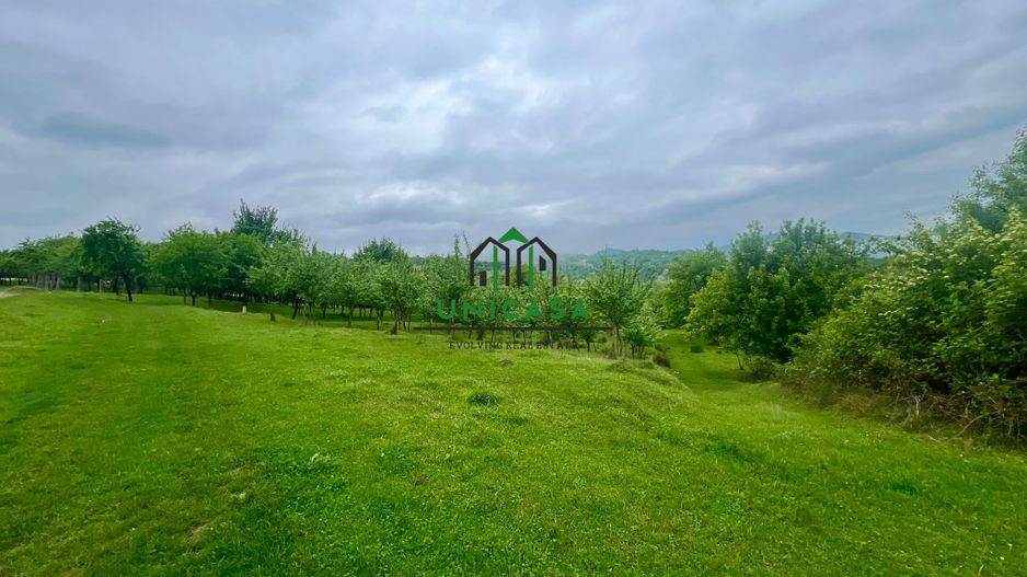 Teren 3507 mp/ Seaca/Calimanesti - Poză 1