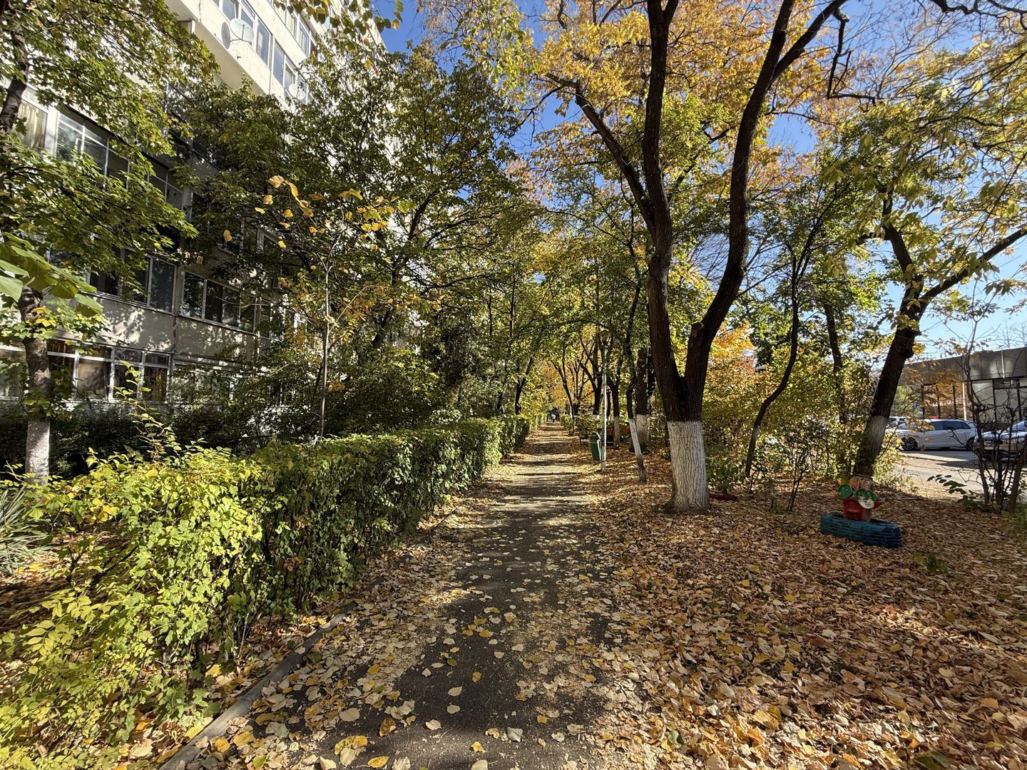 3 Camere | Metrou Tudor Vladimirescu | Partial mobilat - Poză 18