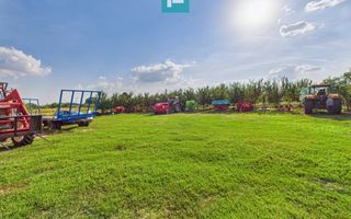 Casă cu 2 camere nou renovată cu anexă în Nădab - Poză 14