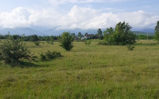 Teren  | Intravilan |5.000 MP | Valea Avrigului - Poză 2