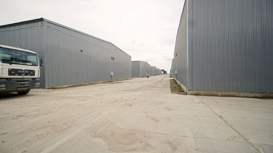 Hala Depozitare Afumati - Poză 5