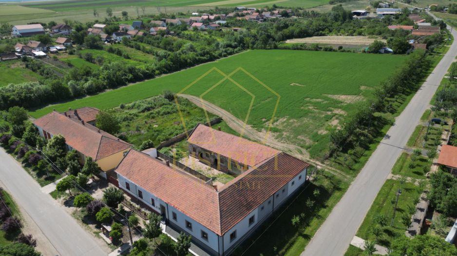 Casa cu istorie, teren de aproape 2 hectare si potențial rar | Petrovaselo - Poză 12