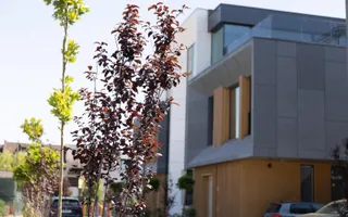 Vila de Lux | Proiect Nou | Pipera | Piscina Incalzita - Poză 23