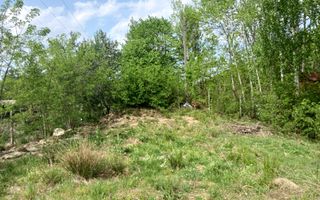 Teren pentru cabana, Marajdie deschidere la rau Gura Raului Sibiu - Poză 6