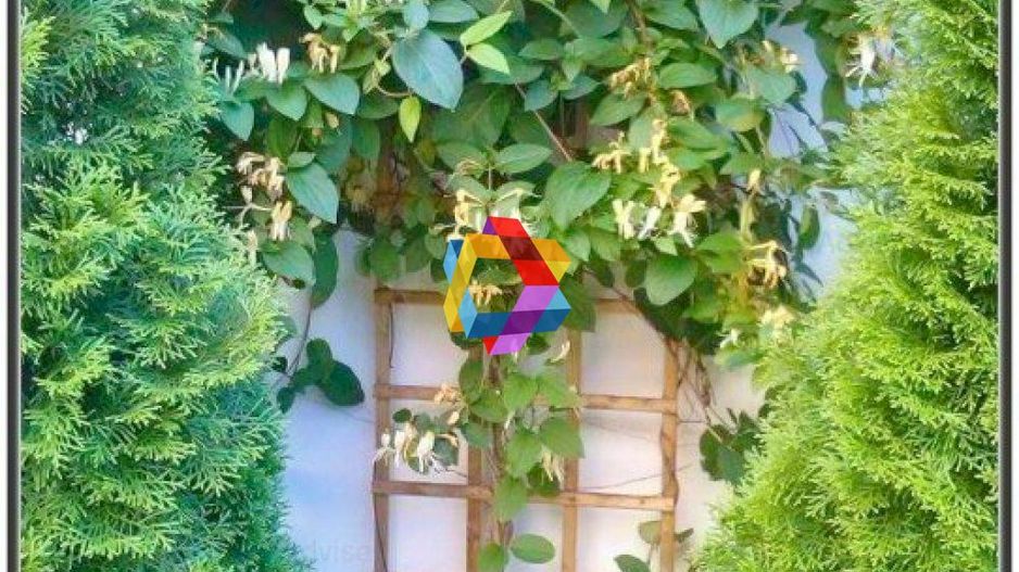 Casa Restaurant cu gradina - 250 mp - Poză 15