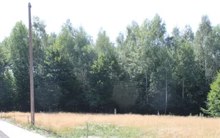 Terenuri Carpinis I parcelabil I Curent pe proprietati - Poză 18