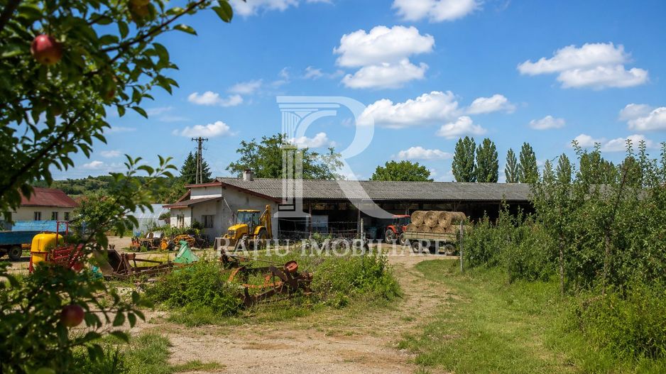 Activ agricol integrat | 67,5 ha | Oportunitate investițională - Poză 2
