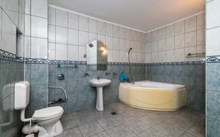 Proprietate premium vis-a-vis de noul Stadion Nicolae Dobrin - Poză 31