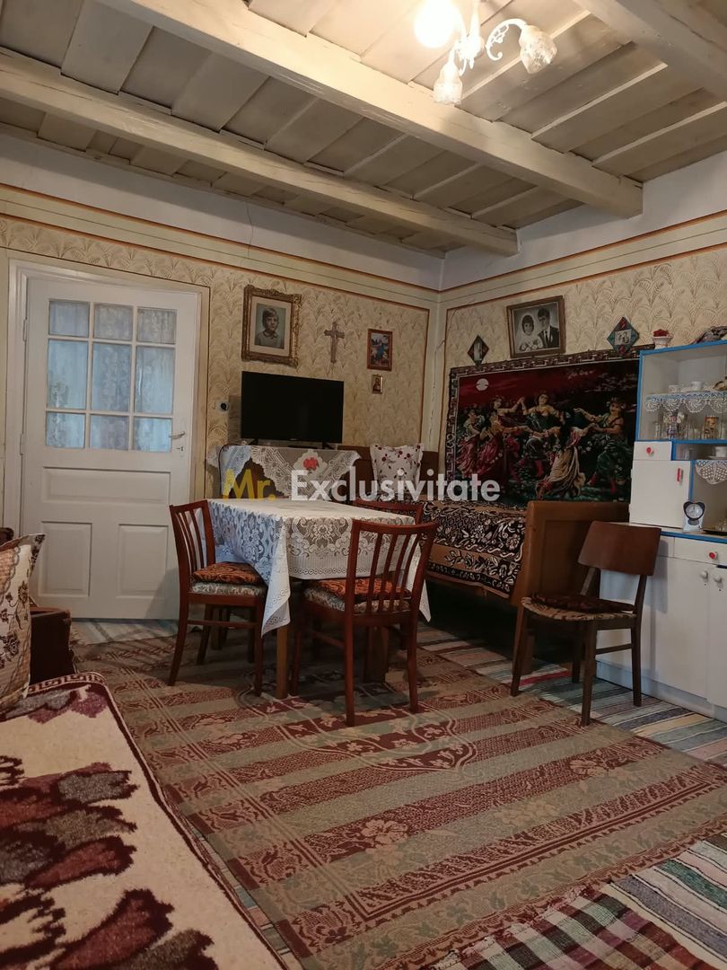 Casă tradițională cu teren de 4.400 mp în Vașad - Poză 11