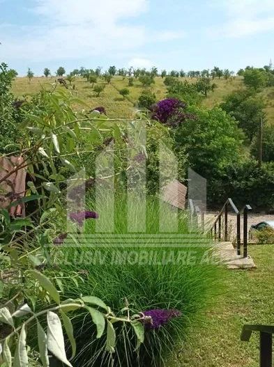 Casa individuala de vanzare, Cetate - Poză 2
