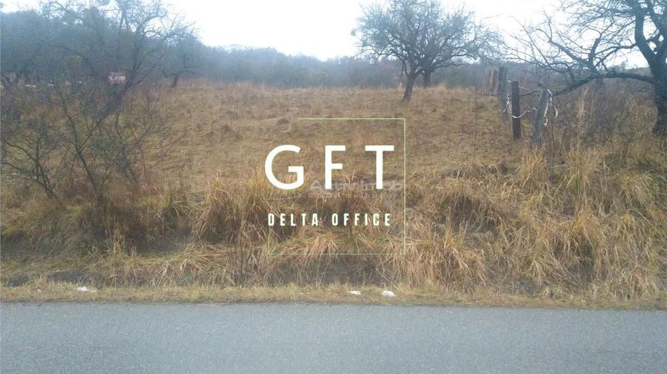 Teren de 1300 mp extravilan- limita intravilan- UNIREA- investitie/cabana - Poză 3