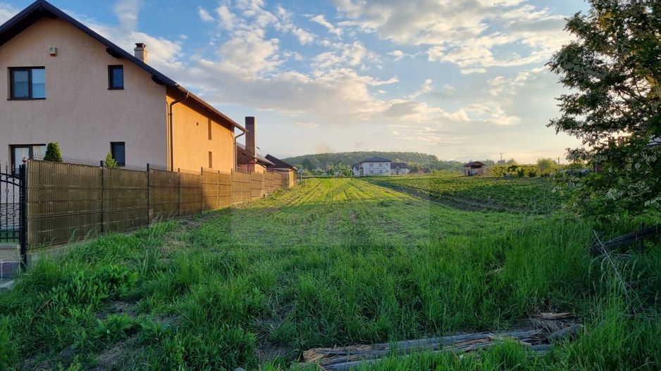 Teren intravila Ilișești - Poză 6