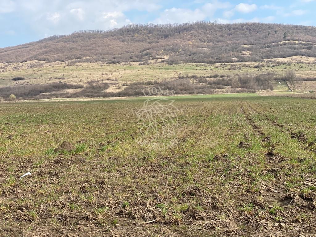 Teren Intravilan-3750mp- zona in plina dezvoltare-Podirei - Poză 3