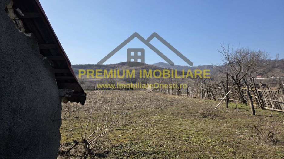 Casă bătrânească de vânzare – sat Prajoaia - Poză 10