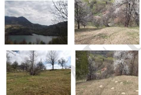 teren extravilan sat Rusca comuna Teregova judet Caras-Severin - Poză 1