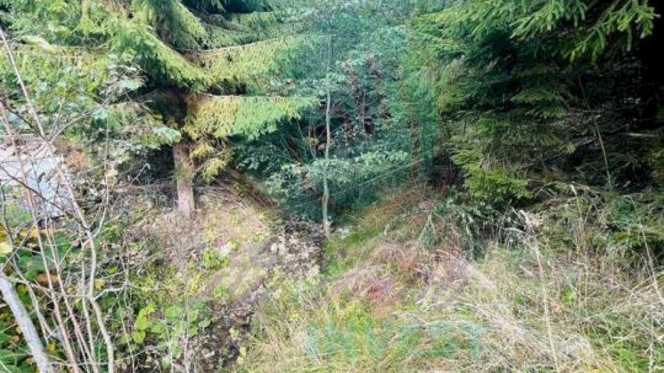 Teren 343 mp ideal cabana in Azuga - Poză 5