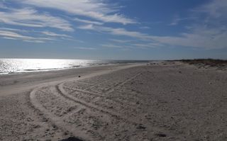 Teren 1000 mp - Plaja Vadu - Poză 3