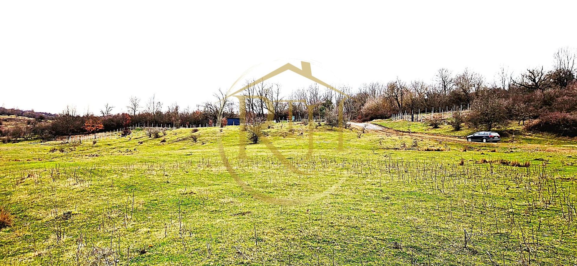 Terenuri extravilane de vânzare – Vizma & Crivobara, comuna Secaș, jud. Timiș - Poză 15