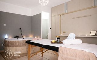 Vilă exclusivistă cu funcțiuni mixte, în Sânandrei- potențial investițional - Poză 4