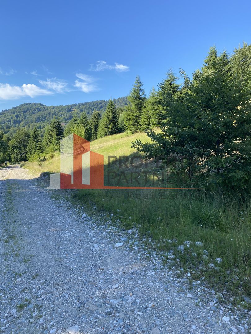 Teren 14400 mp la iesire din Rasnov inspre Pârâul Rece-Trei Brazi - Poză 7