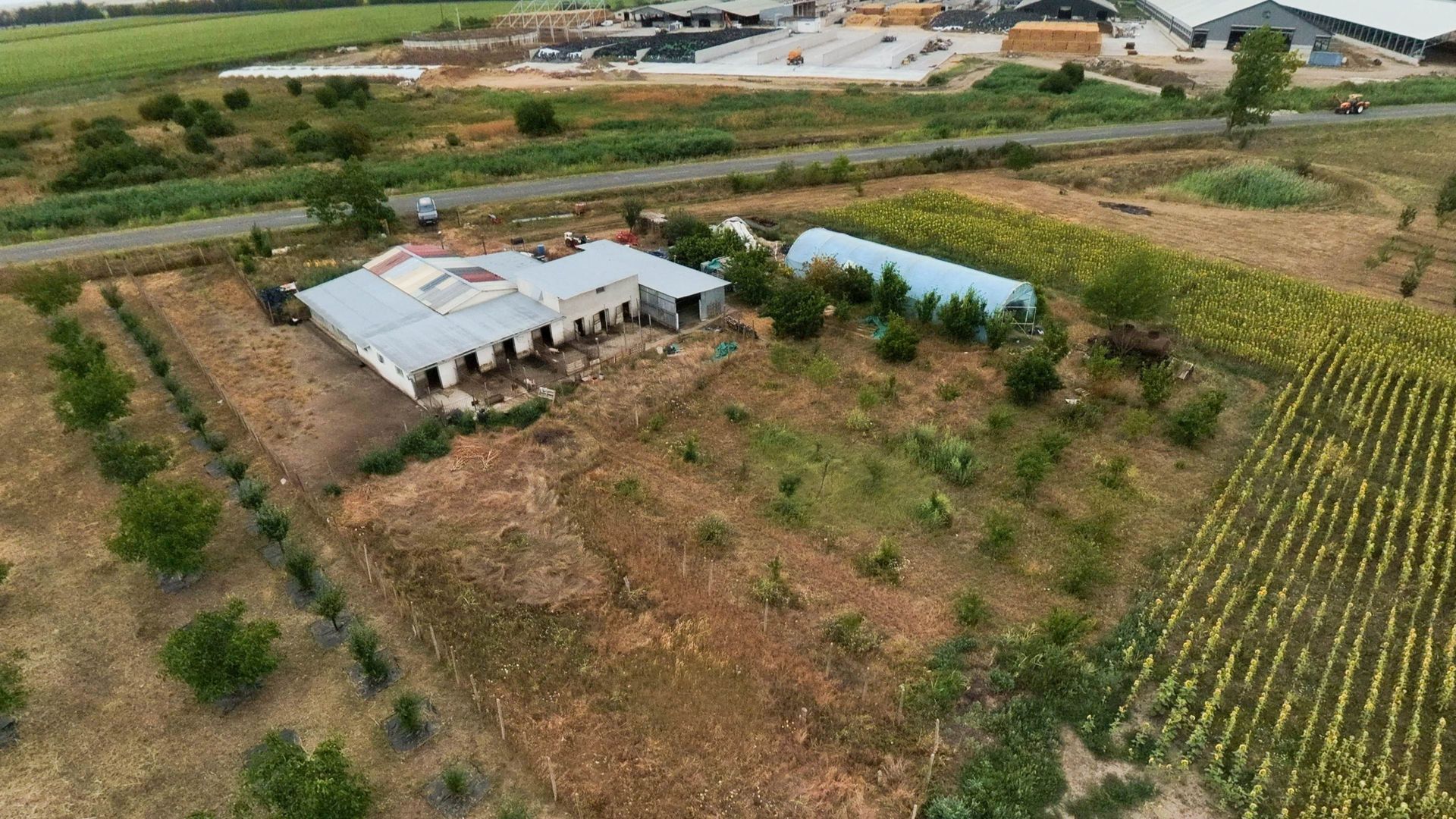Livadă de 3,6 hectare în Iratoșu – Oportunitate - Poză 8